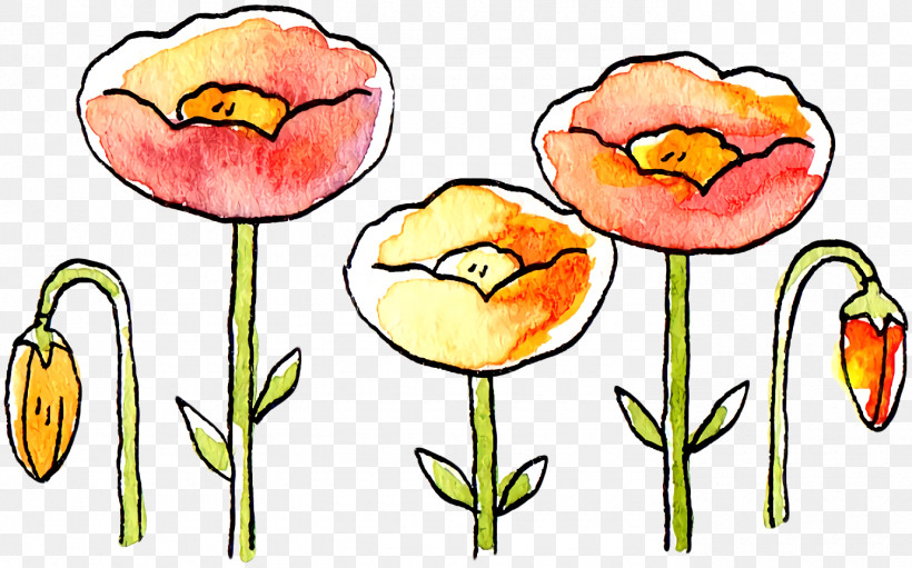 Tulip Plant Stem Cut Flowers Petal Flower, PNG, 1380x860px, Tulip, Biology, Cut Flowers, Flower, Petal Download Free