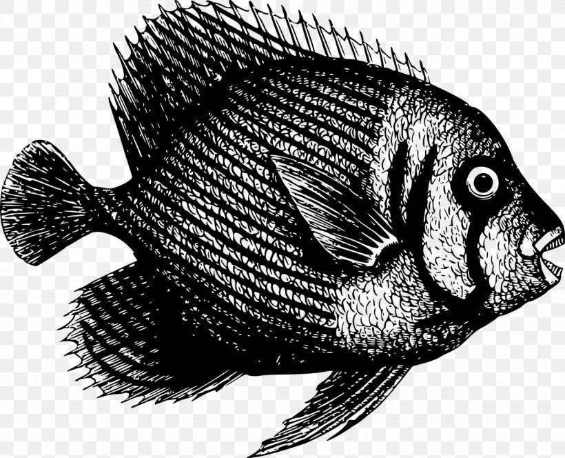 Fish Clip Art Nile Tilapia Aquatic Animal, PNG, 1280x1037px, Fish, Animal, Aquatic Animal, Bluegill, Bonyfish Download Free