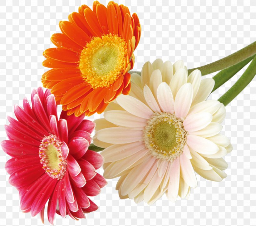 Flower Bouquet Nosegay, PNG, 1222x1080px, Flower, Annual Plant, Chrysanthemum, Chrysanths, Cut Flowers Download Free