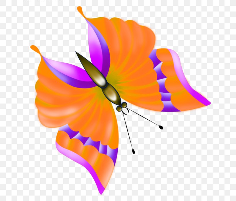 Monarch Butterfly Insect Drawing Clip Art, PNG, 659x699px, Butterfly, Art, Butterflies And Moths, Butterflies Insects, Digital Image Download Free