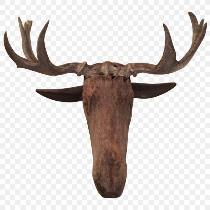 Reindeer Moose Elk Antler, PNG, 1200x1200px, Deer, Animal, Antler, Elk, Horn Download Free