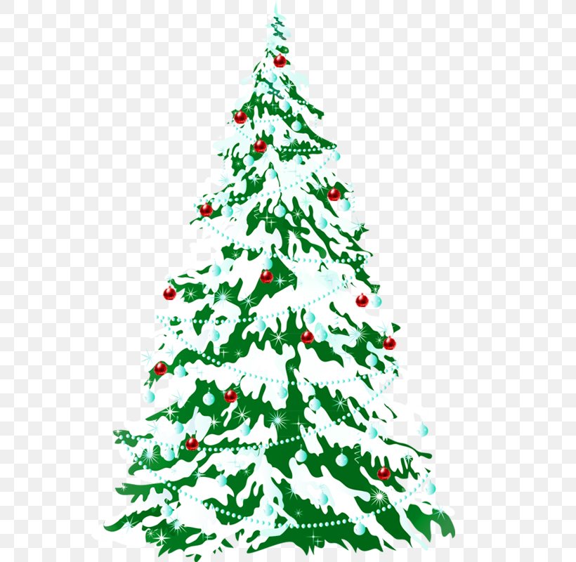 Snowman Christmas Desktop Wallpaper, PNG, 800x800px, Snow, Branch, Christmas, Christmas Card, Christmas Decoration Download Free