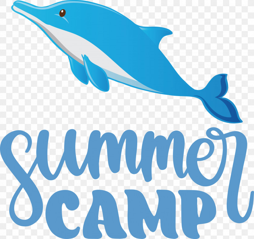 Summer Camp Summer Camp, PNG, 3000x2822px, Summer Camp, Bottlenose Dolphin, Camp, Cetaceans, Dolphin Download Free