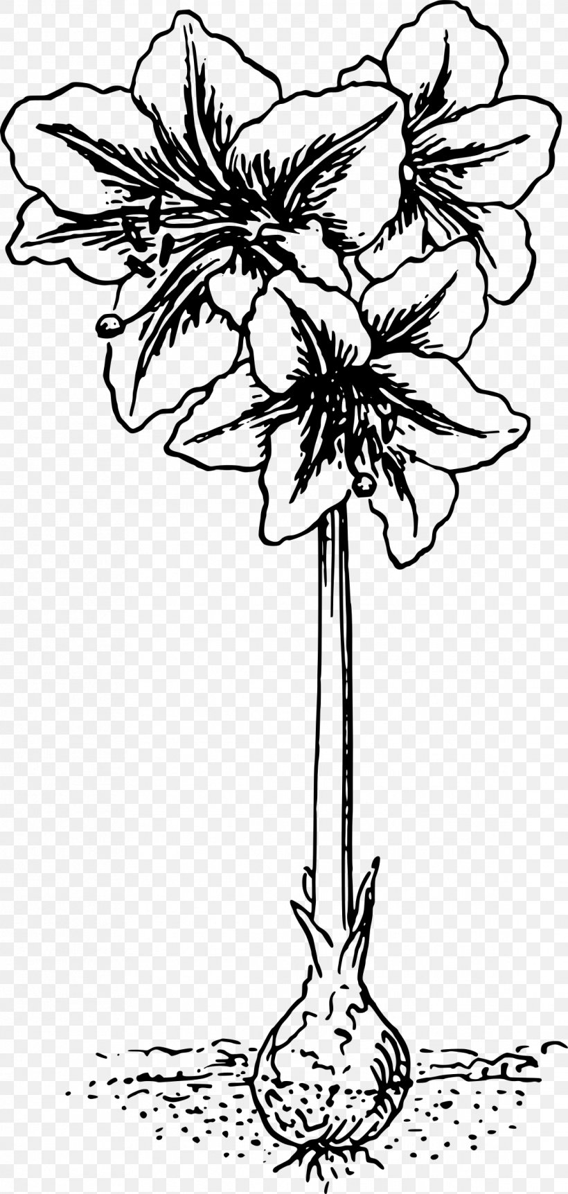 Tattoo Clip Art Amaryllis Vector Graphics Image, PNG, 1142x2400px, Tattoo Clip Art, Amaryllis, Art, Artwork, Black And White Download Free