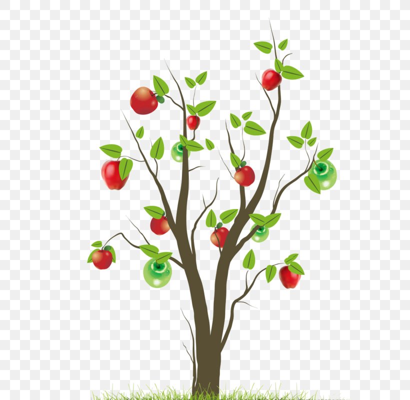Tree Clip Art, PNG, 579x800px, Tree, Berry, Branch, Cherry, Christmas Tree Download Free