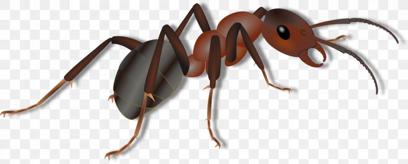 Ant Clip Art, PNG, 2400x968px, Ant, Animal Figure, Arthropod, Blog, Insect Download Free