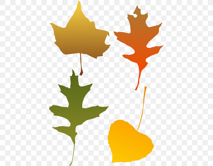 Autumn Leaf Color Clip Art, PNG, 441x640px, Autumn Leaf Color, Autumn, Branch, Flora, Flowering Plant Download Free