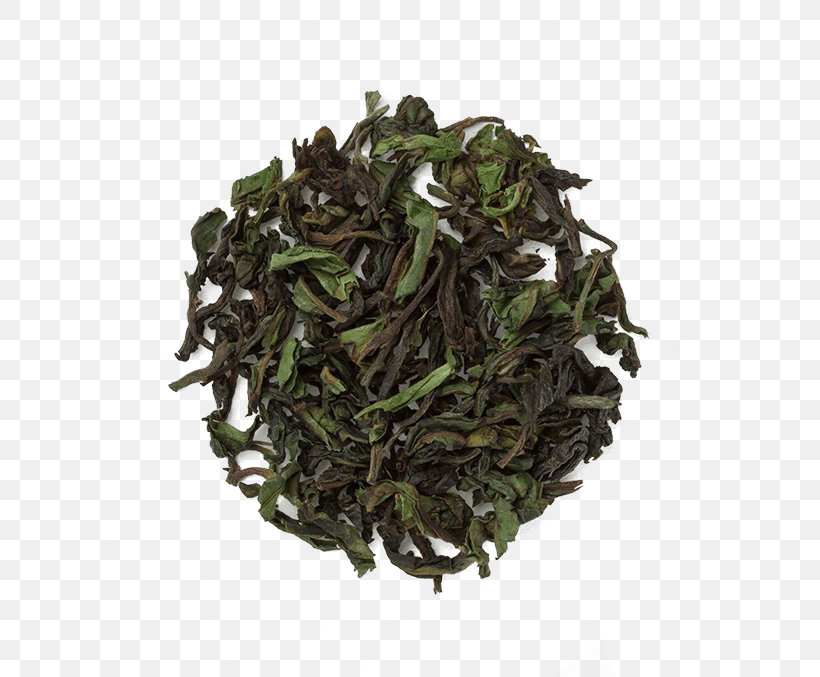 Earl Grey Tea Hōjicha Assam Tea Green Tea, PNG, 677x677px, Earl Grey Tea, Assam Tea, Bai Mudan, Baihao Yinzhen, Bancha Download Free