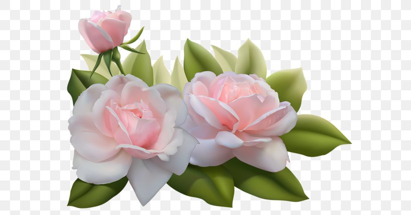 Rose Clip Art Image Pink Flowers, PNG, 600x429px, Rose, Artificial Flower, Cut Flowers, Floral Design, Floristry Download Free