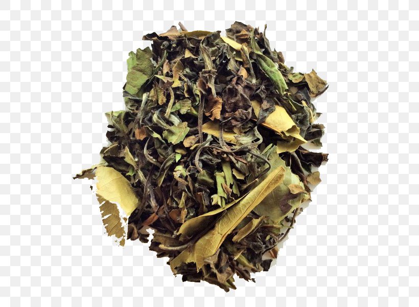 Hōjicha Nilgiri Tea White Tea Earl Grey Tea, PNG, 600x600px, Hojicha, Assam Tea, Bai Mudan, Bancha, Ceylon Tea Download Free