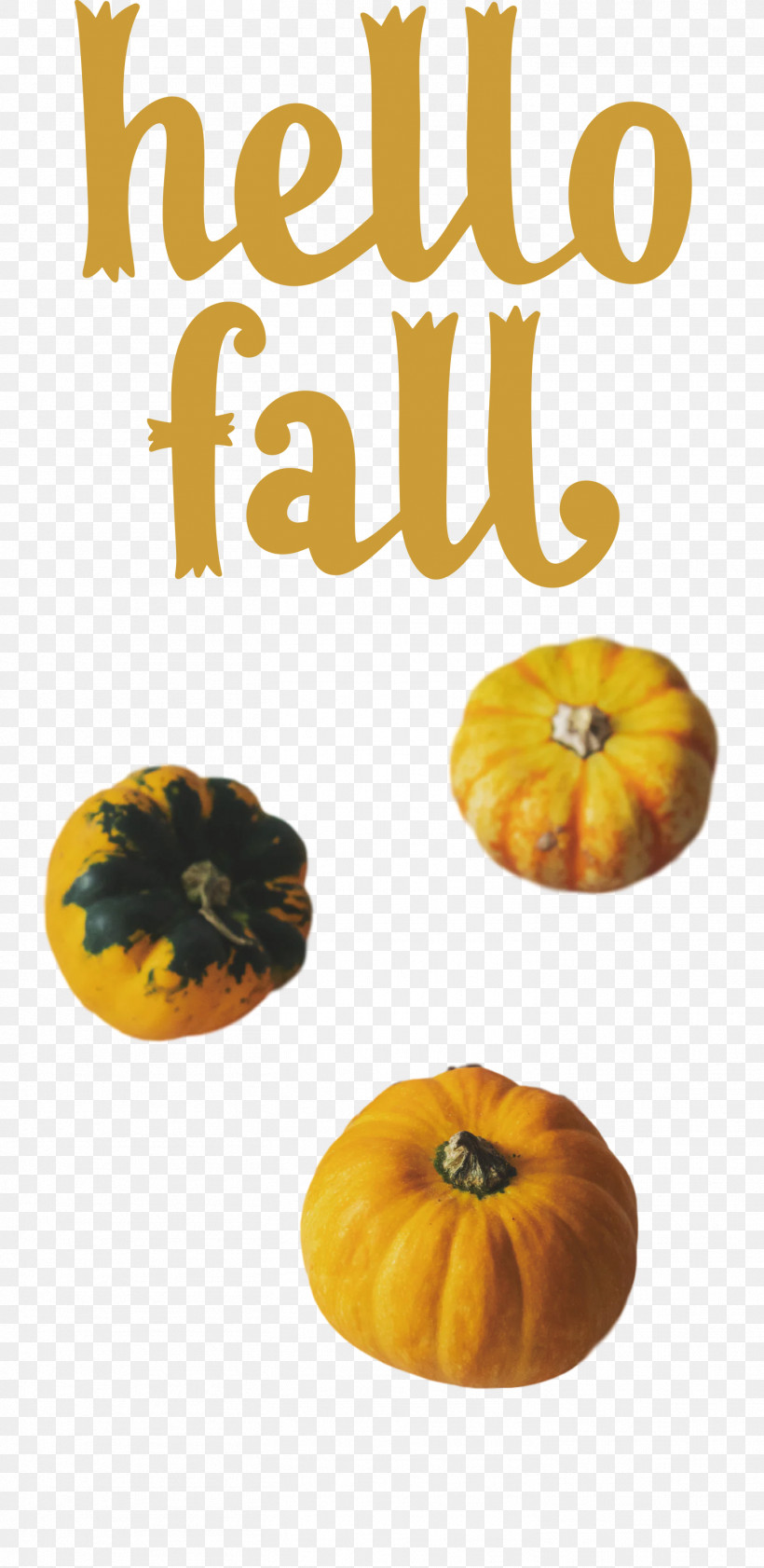 Hello Fall Fall Autumn, PNG, 1462x3000px, Hello Fall, Autumn, Fall, Fruit, Gourd Download Free