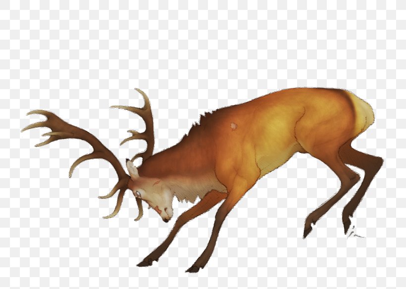 Reindeer Elk Antler Antelope Wildlife, PNG, 748x584px, Reindeer, Animal, Antelope, Antler, Deer Download Free