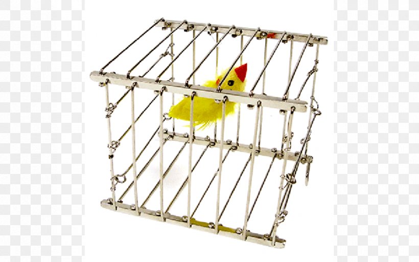 Vanishing Bird Cage Vanishing Bird Cage Birdcage Magic, PNG, 940x587px, Bird, Alberico Magic, Amazoncom, Bird Of Prey, Birdcage Download Free