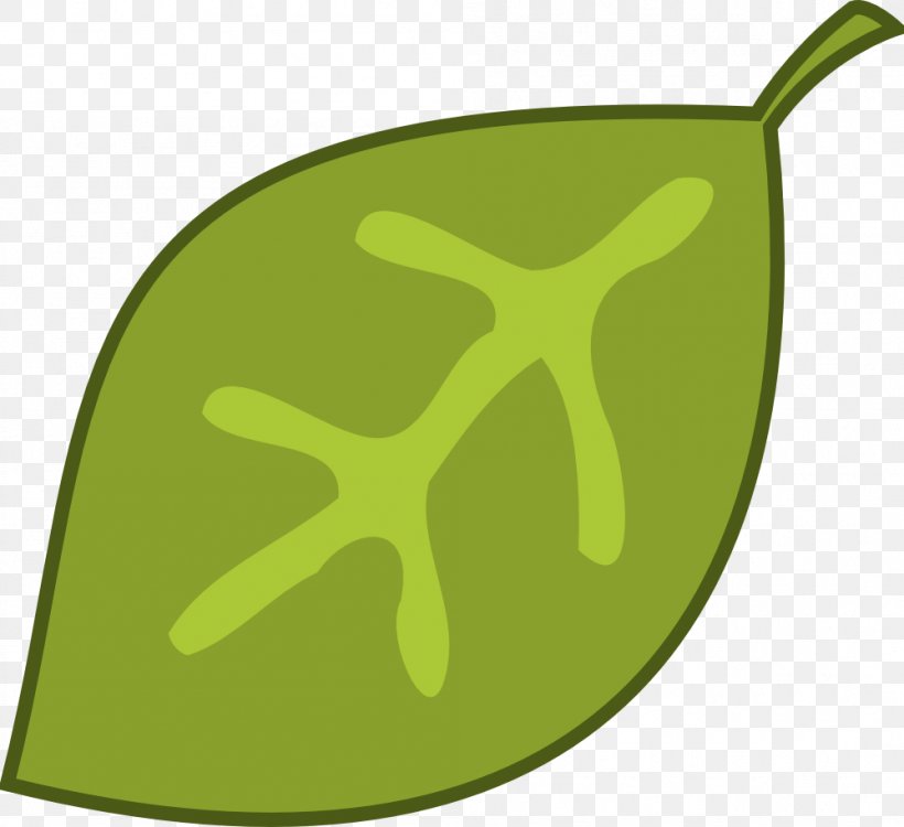 Bay Leaf Free Content Clip Art, PNG, 999x914px, Leaf, Autumn Leaf Color, Bay, Bay Leaf, Food Download Free