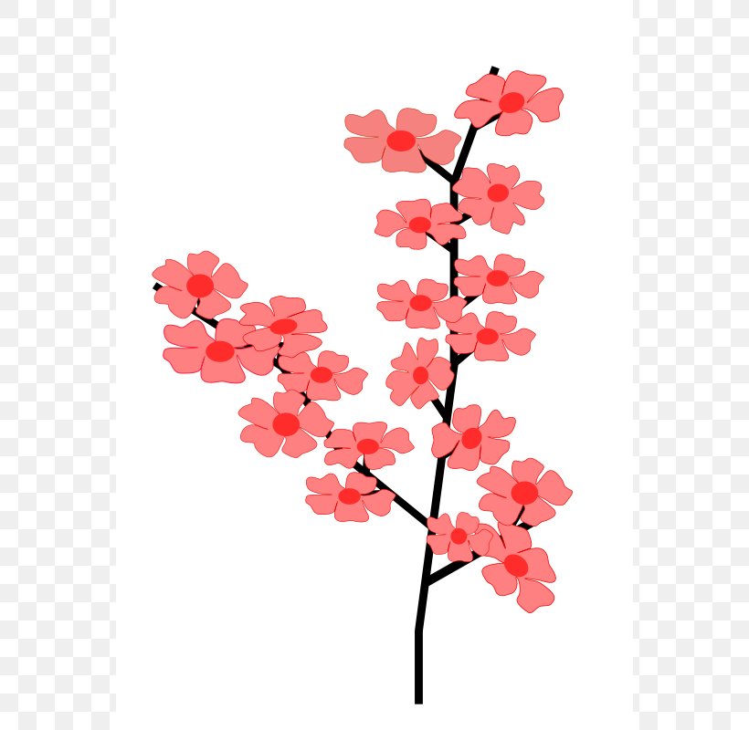 Cherry Blossom Flower Clip Art, PNG, 566x800px, Cherry Blossom, Blog, Blossom, Branch, Cherry Download Free