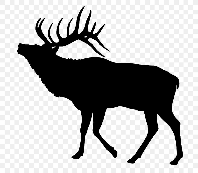 Elk Deer Clip Art, PNG, 720x720px, Elk, Antler, Black And White, Deer, Drawing Download Free