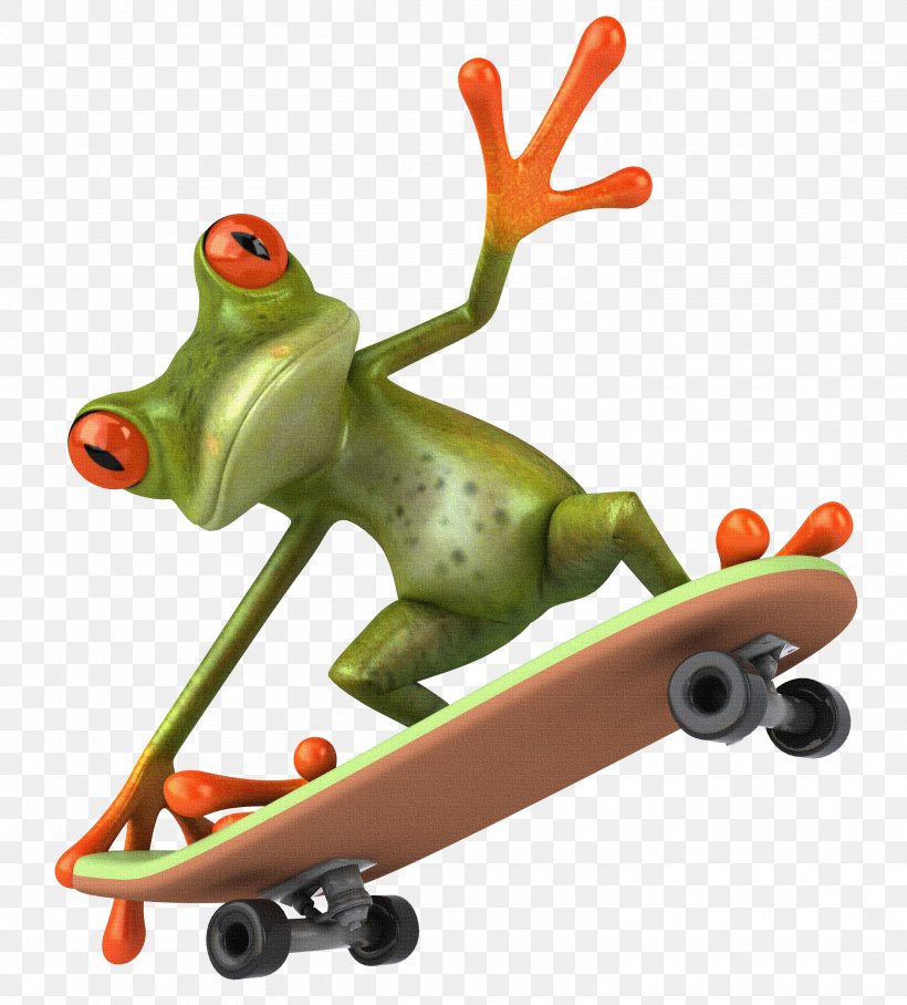 Frog Skateboarding Clip Art, PNG, 3015x3339px, Frog, Amphibian, Photography, Royaltyfree, Skateboard Download Free