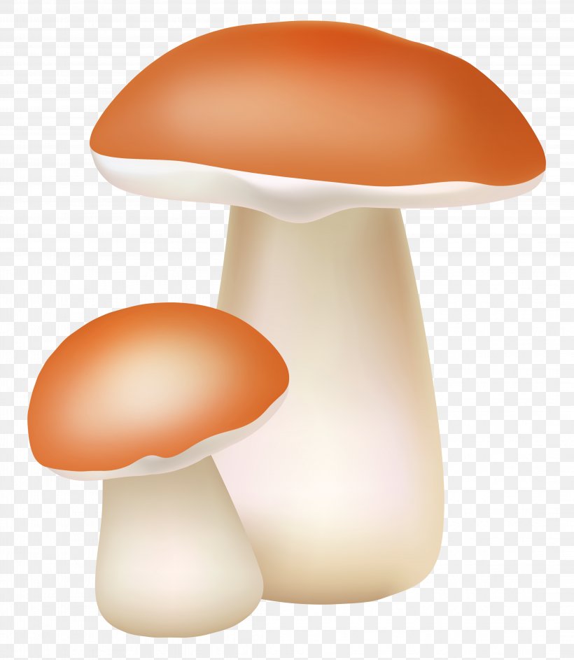 Light Mushroom Clip Art, PNG, 4347x5000px, Light, Agaricus Arvensis, Lighting, Mushroom, Mushroom Cloud Download Free