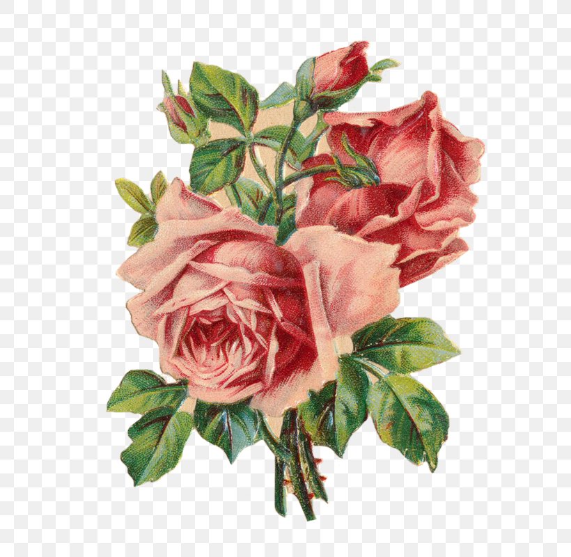 Paper Rose Wedding Invitation Clip Art, PNG, 611x800px, Paper, Antique, Artificial Flower, Cut Flowers, Floral Design Download Free