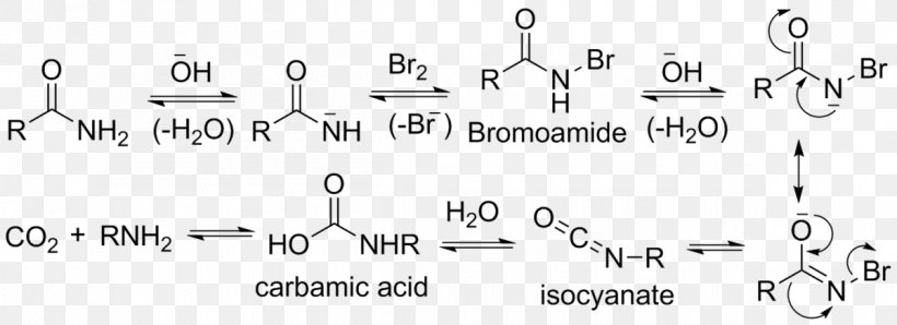 Rearrangement Reaction Hofmann Rearrangement Hofmann Elimination Chemical Reaction Emde Degradation, PNG, 1200x437px, Watercolor, Cartoon, Flower, Frame, Heart Download Free