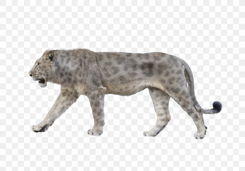 Felidae Panthera Leo Spelaea American Lion Animal Megafauna, PNG, 1000x700px, Felidae, American Lion, Animal, Animal Figure, Big Cat Download Free
