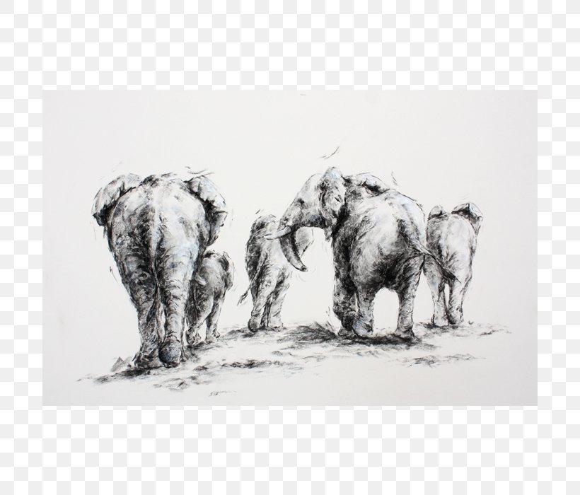 Indian Elephant African Elephant Elephantidae Horse Paper, PNG, 700x700px, Indian Elephant, African Elephant, Asian Elephant, Black And White, Cat Download Free