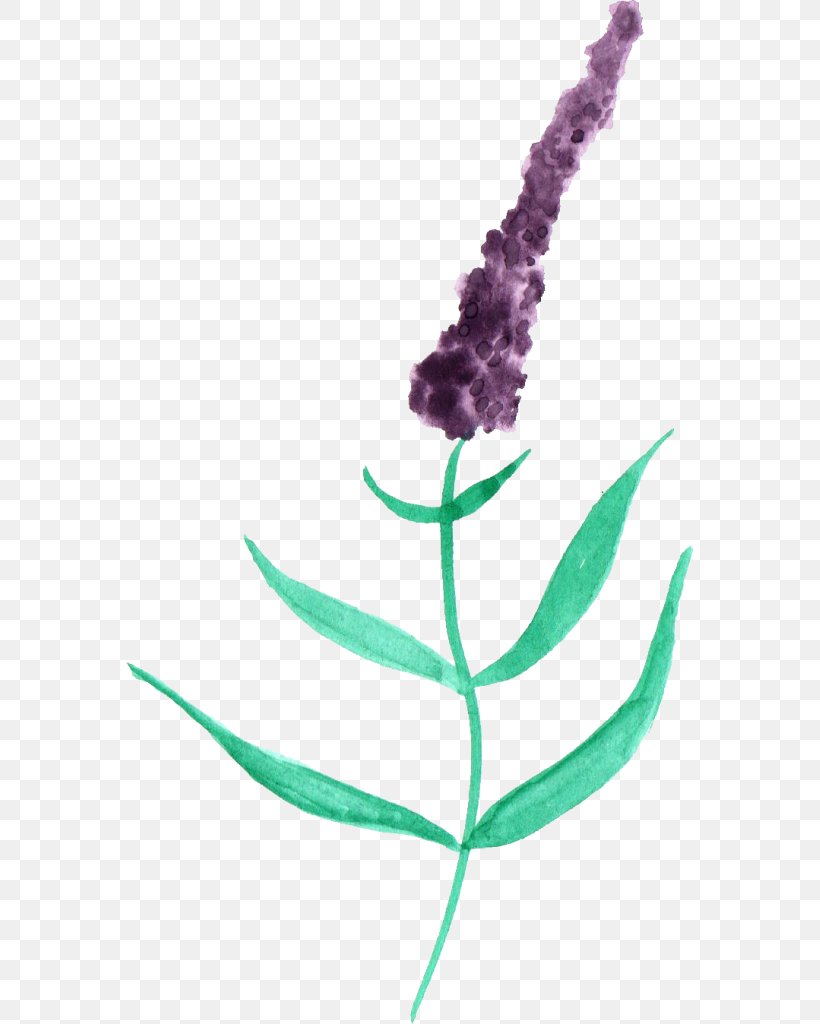 Lausanne Watercolor Painting Lavender Violet, PNG, 567x1024px, Lausanne, Cosmetics, Display Resolution, Flower, Flowering Plant Download Free