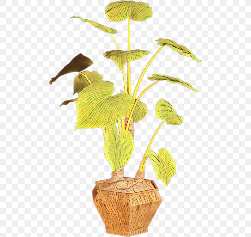 Leaf Flowerpot Plant Stem Houseplant, PNG, 500x774px, Leaf, Anthurium, Botany, Flower, Flowering Plant Download Free