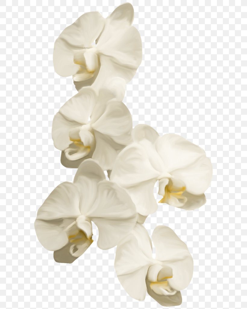 Moth Orchids Ты — моя нежность Cut Flowers Clip Art, PNG, 608x1024px, Moth Orchids, Cut Flowers, Flower, Flowering Plant, Liveinternet Download Free