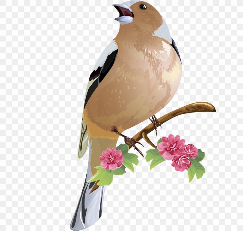 Bird Royalty-free Clip Art, PNG, 831x791px, Watercolor, Cartoon, Flower, Frame, Heart Download Free