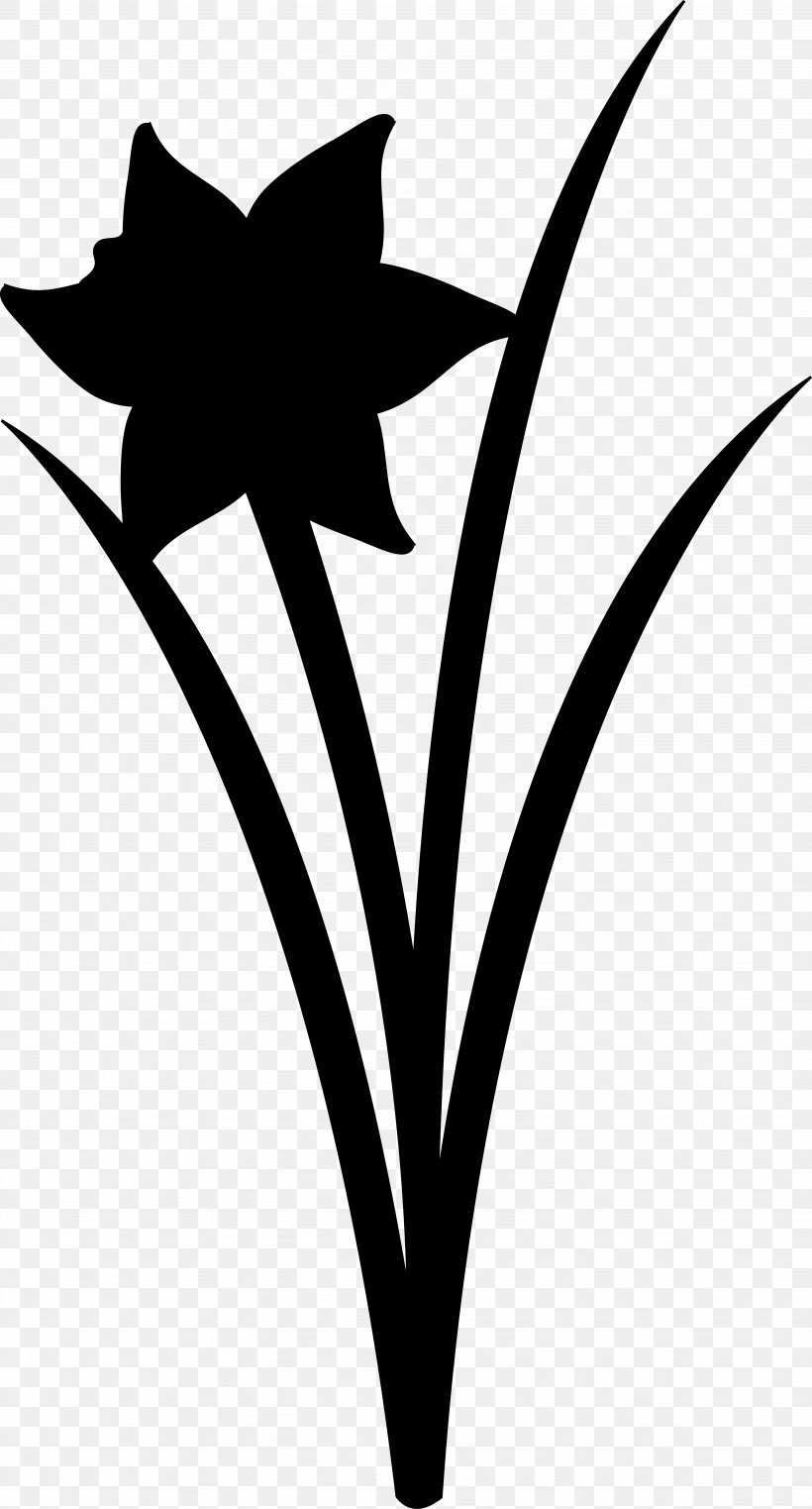 Clip Art Flower Plant Stem Leaf Line, PNG, 3891x7231px, Flower, Blackandwhite, Botany, Coloring Book, Flowering Plant Download Free