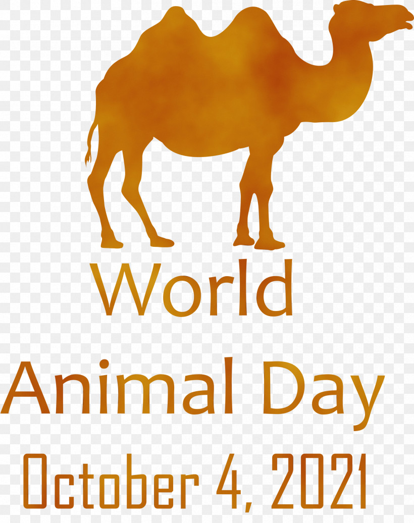 Dromedary Alderley Systems Ltd Snout Font Name, PNG, 2374x3000px, World Animal Day, Animal Day, Camels, Dromedary, Meter Download Free
