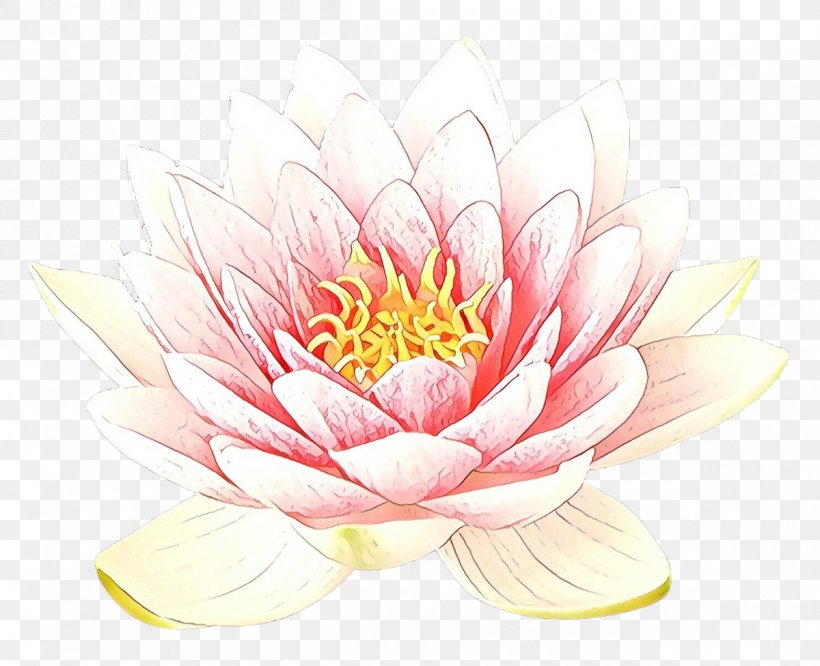 Flower Pink Petal Plant Aquatic Plant, PNG, 1200x975px, Cartoon, Aquatic Plant, Flower, Flowering Plant, Lotus Family Download Free