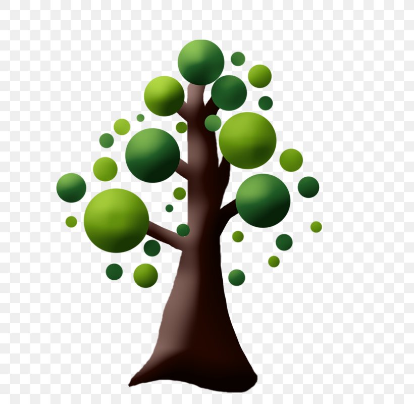 Tree Circle, PNG, 800x800px, Tree, Cartoon, Flowerpot, Green, Leaf Download Free