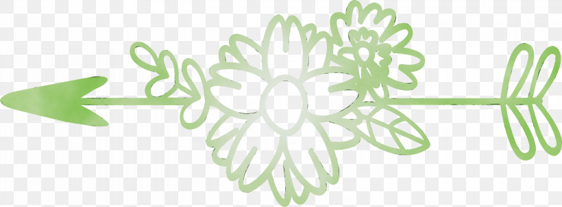 White Green Leaf Line Art Plant, PNG, 3000x1111px, Boho Arrow, Flower, Flower Arrow, Green, Leaf Download Free
