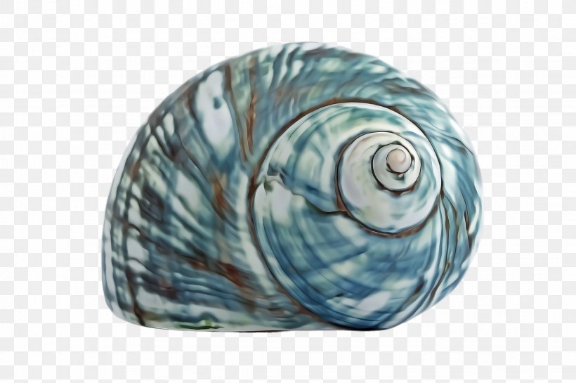 Blue Turquoise Aqua Shell Turquoise, PNG, 2452x1632px, Blue, Aqua, Glass, Sea Snail, Shell Download Free