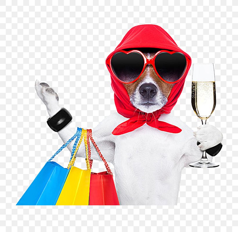 Dog Shopping Bag Stock Photography Pet Shop, PNG, 800x800px, Dog, Bag, Dog Grooming, Dog Like Mammal, Eyewear Download Free