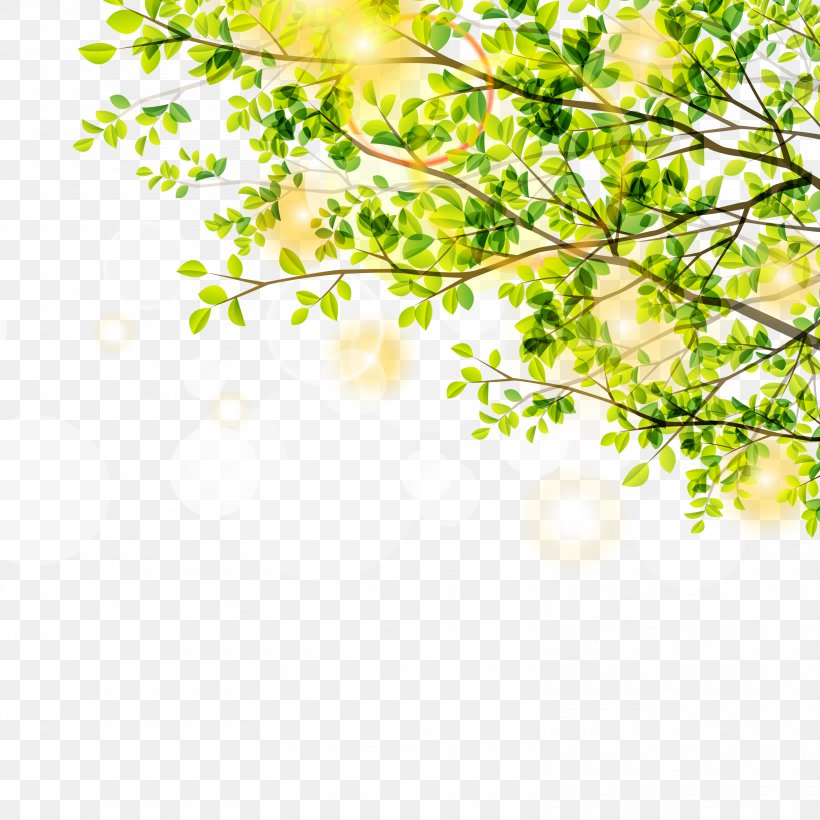 Leaf Green Euclidean Vector Tree, PNG, 3125x3125px, Leaf, Autumn Leaf Color, Branch, Flower, Grass Download Free
