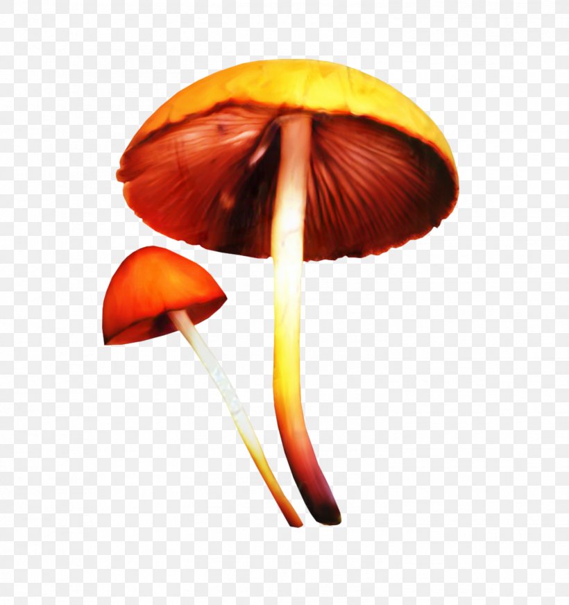 Mushroom Poisoning Clip Art Image, PNG, 1504x1600px, Mushroom, Agaric, Agaricaceae, Agaricomycetes, Agaricus Download Free