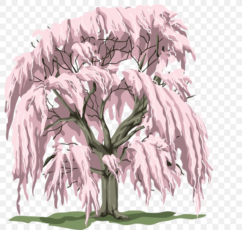 Cherry Blossom Tree, PNG, 800x780px, Cherry Blossom, Animaatio, Branch, Cartoon, Drawing Download Free