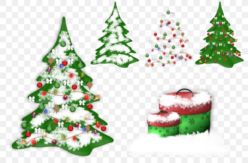 Christmas Tree Christmas Ornament Christmas Decoration Spruce, PNG, 800x539px, Christmas, Child, Christmas Decoration, Christmas Ornament, Christmas Tree Download Free
