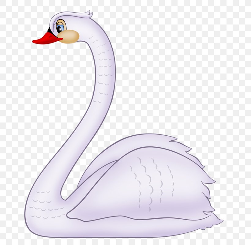 Cygnini Duck Bird Cartoon Clip Art, PNG, 702x800px, Cygnini, Animal, Beak, Bird, Cartoon Download Free