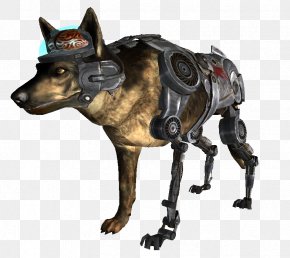 Fallout: New Vegas Fallout 3 Dog Fallout 2, PNG, 628x565px, Fallout New  Vegas, Carnivoran, Companion Dog, Dog, Dog Breed Download Free