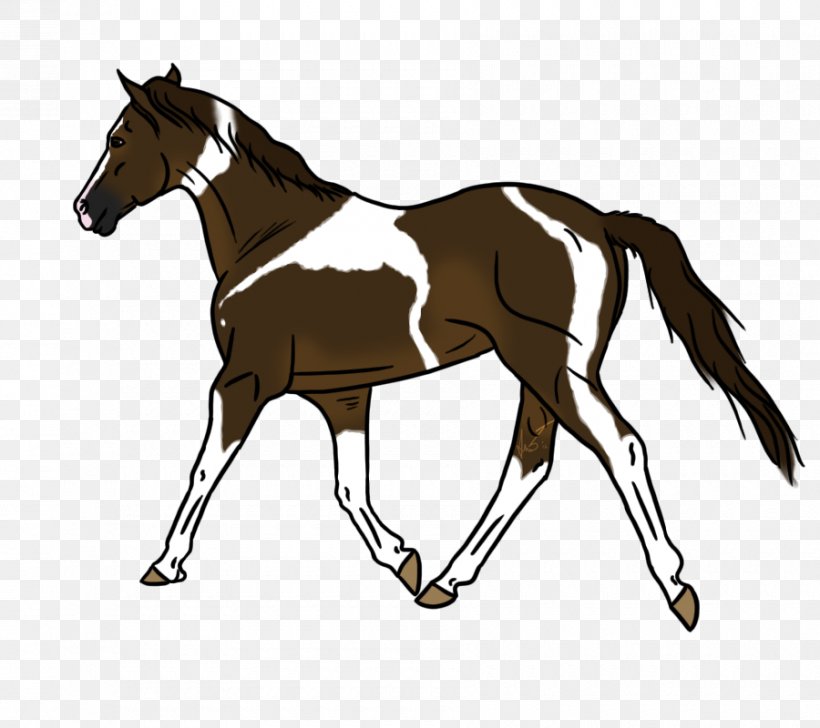 Foal Mustang Hunt Seat Pony Colt, PNG, 900x800px, Foal, Bridle, Colt, English Riding, Equestrian Download Free