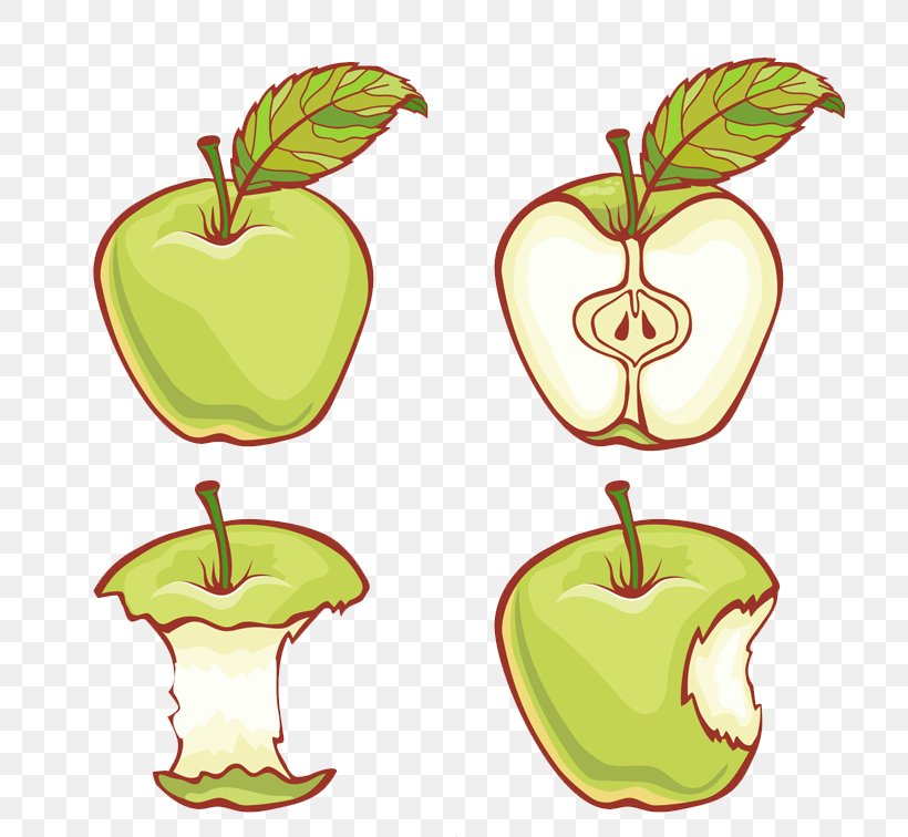 Apple Adobe Illustrator Illustration, PNG, 800x756px, Apple, Cartoon, Flowering Plant, Food, Fruit Download Free