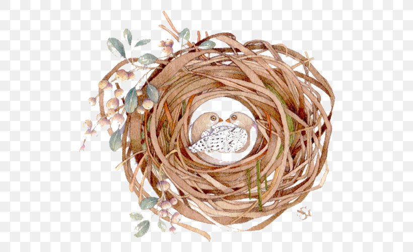 Bird Nest Watercolor Painting, PNG, 546x500px, Bird, Art, Bird Nest, European Turtle Dove, Nest Download Free