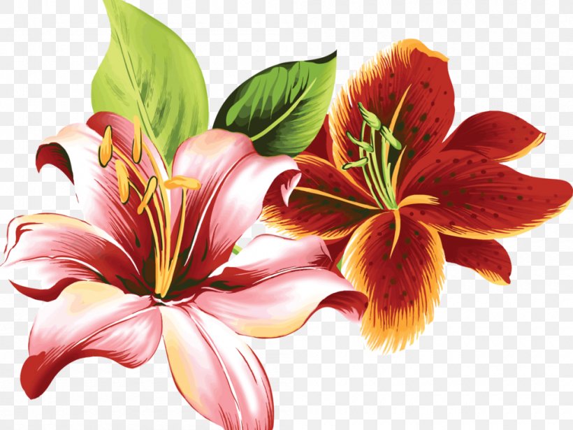 Flower Lilium Color Clip Art, PNG, 1000x750px, Flower, Child, Color, Coloring Book, Cut Flowers Download Free