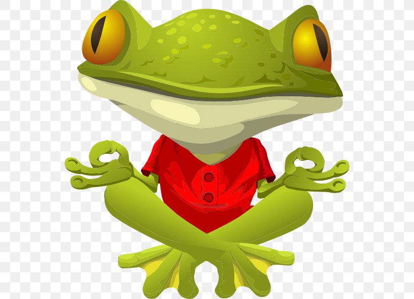 Frog Lithobates Clamitans Yoga Clip Art, PNG, 564x593px, Frog, Amphibian, Drawing, Frog And Toad All Year, Green Download Free