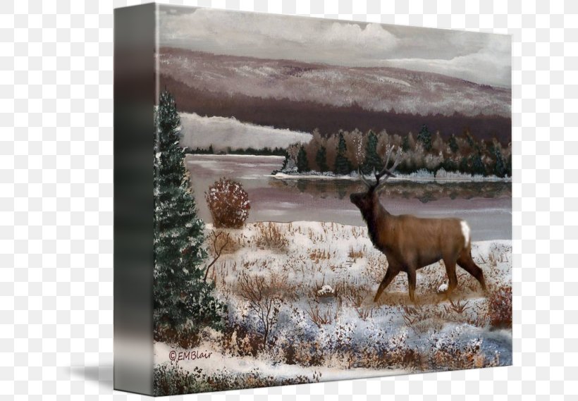 Slatington Art Drawing Painting Elk, PNG, 650x569px, Slatington, Antler, Art, Cattle Like Mammal, Celebrity Download Free
