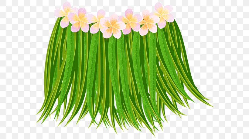 Clip Art Grass Skirt Transparency Image, PNG, 600x460px, Grass Skirt, Commodity, Cut Flowers, Floral Design, Floristry Download Free